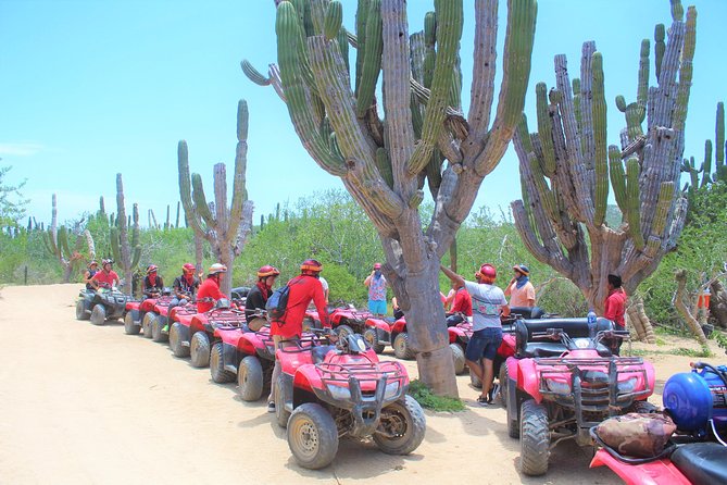 ATV Desert & Beach Ride Over the Mountains and Through Migrino Beach! - Good To Know