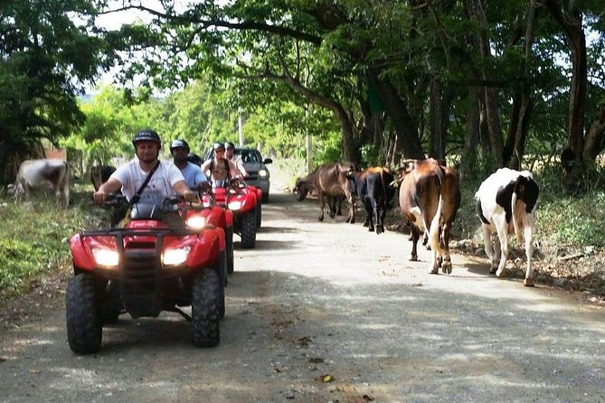 ATVs Private Tours "Minimum 3 ATVs per Boocking" - Customizable ATV Routes for Private Tours