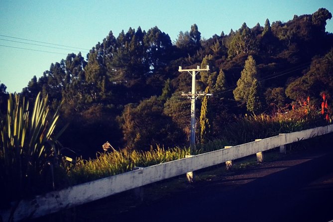 Auckland Airport and City Transfers (To or From)
