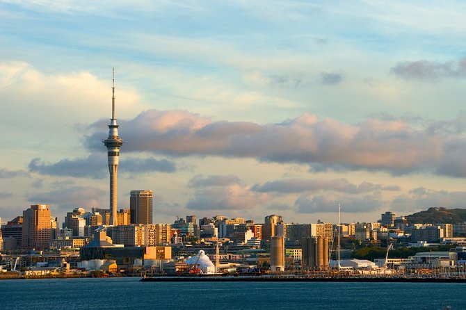 Auckland Airport Transfers: Auckland Airport AKL to Auckland in Business Car