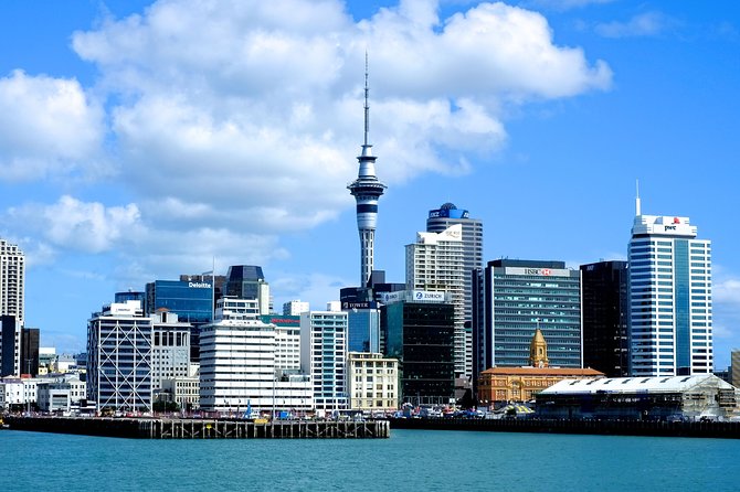 Auckland City Discovery Experience - Private Tour From Auckland