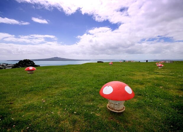 Auckland Tours and Transfers by Hourly Booking