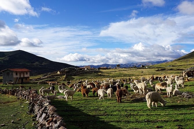 Ausangate Trek 6 Days by Rainbow Mountain All-Included - Itinerary for the 6-Day Trek