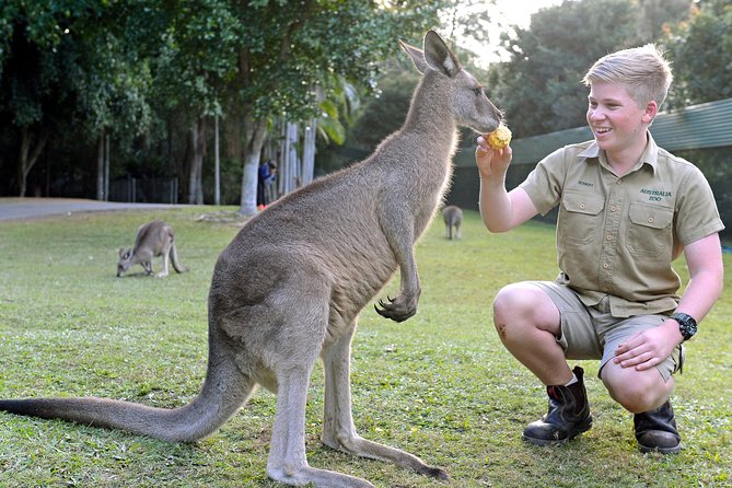 Australia Zoo Day Trip From Brisbane