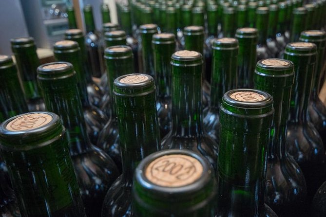 Authentic Château Chatain Wine Tasting & Vines Leaves Hunting - Good To Know