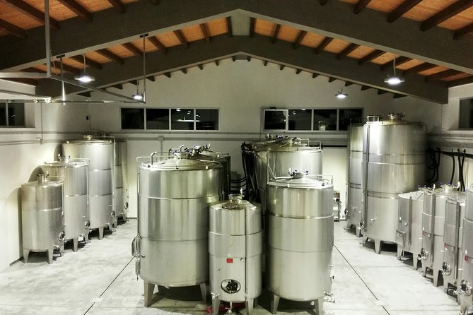Authentic Experience in Organic Winery