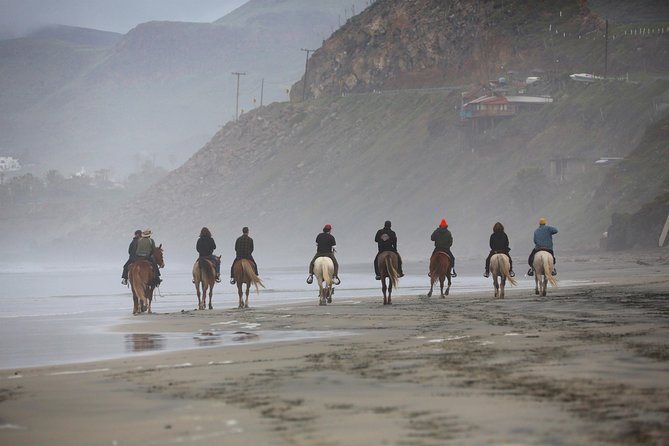 Authentic Horseback Riding in Beautiful La Mision - Good To Know