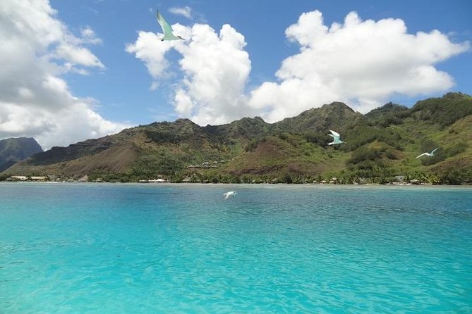 Authentic Moorea Lagoon Excursion – Full Day (with Motu Lunch)