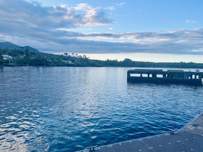 Authentic Road To Hana Tour (Private) - Good To Know