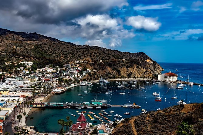 2 Best Guided Tours In Catalina Island