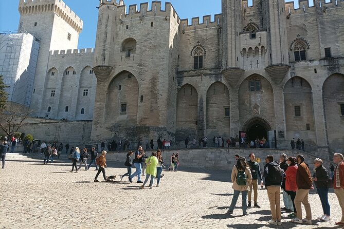 Avignon, Pope’S Palace, Pont Du Gard Full-Day Tour