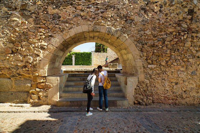 Avila and Segovia Guided Tour and Flamenco Show in Madrid - Tour Details