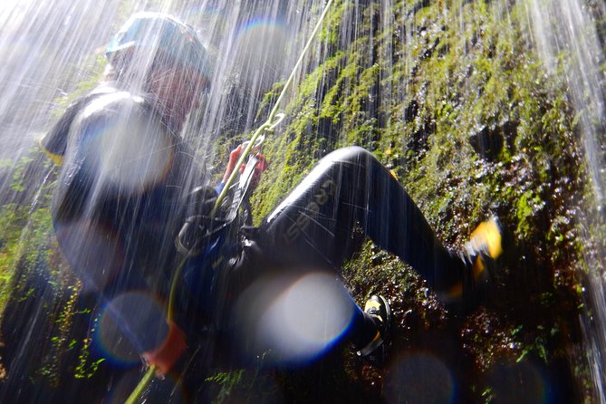 Azores: Nordeste Small-Group Half-Day Canyoning Experience  - Ponta Delgada - Pricing and Booking Options
