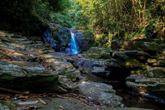 Bach Ma National Park Trekking Day Tour - Booking Details