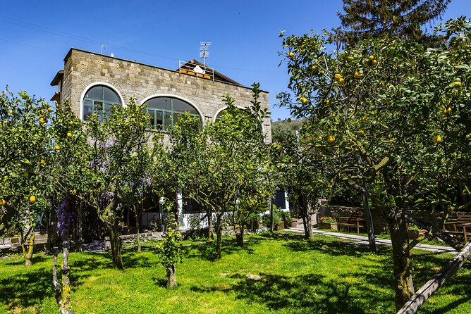 Backroads & Limoncello Experience: Sorrento E-Bike Tour - Good To Know