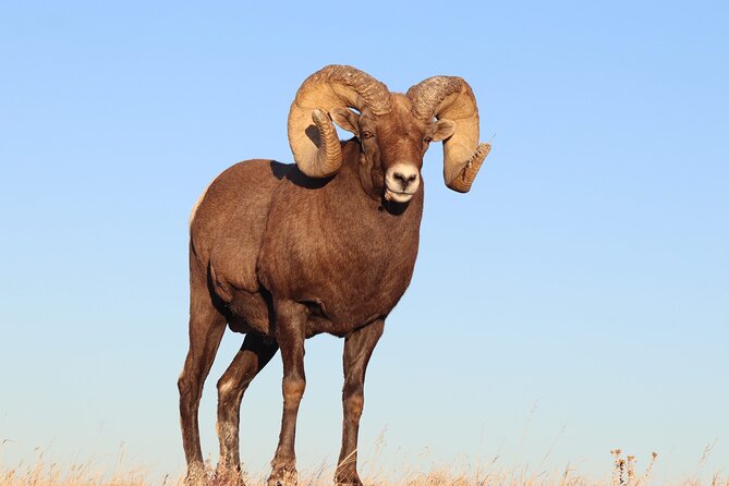 Badlands National Park Private Tour From Rapid City - Good To Know