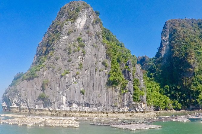 Bai Tu Long Day Cruise From Hanoi off the Beaten Track - Cruise Itinerary