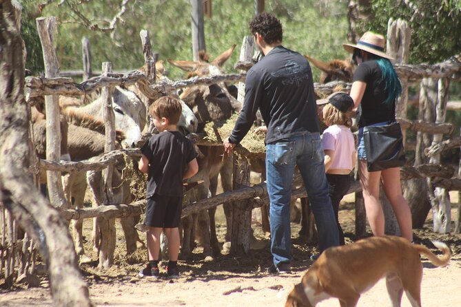 Baja Peninsula Hiking Tour With a Donkey Companion - San Jose Del Cabo
