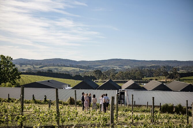 Balhannah Wine & Vines Tasting Tour at Shaw & Smith  – Adelaide
