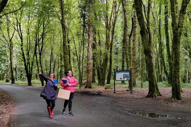 Ballina Treasure Hunt – Self-Guided Outdoor Game in Belleek Woods