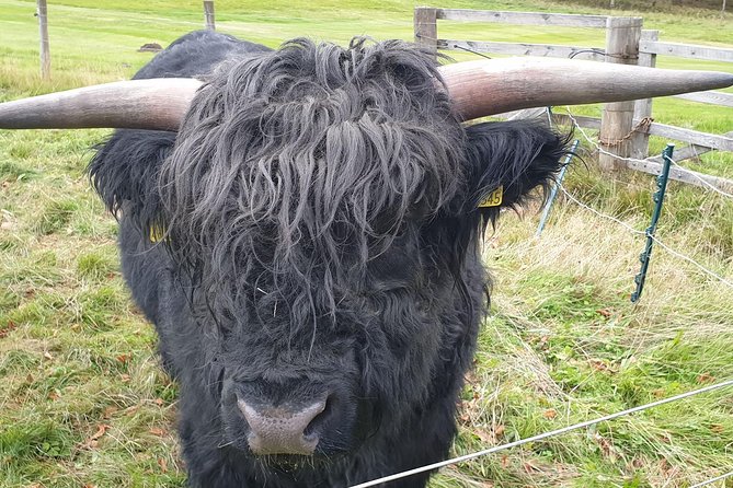 Balmoral Tour From Inverness - Tour Highlights