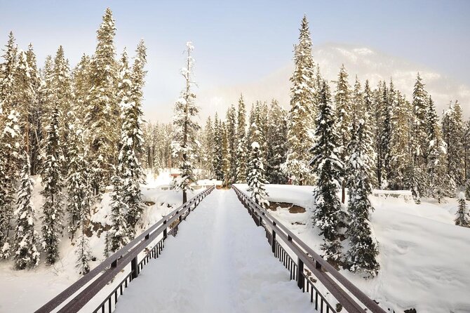 Banff Jasper National Parks Columbia Icefield Private Tour