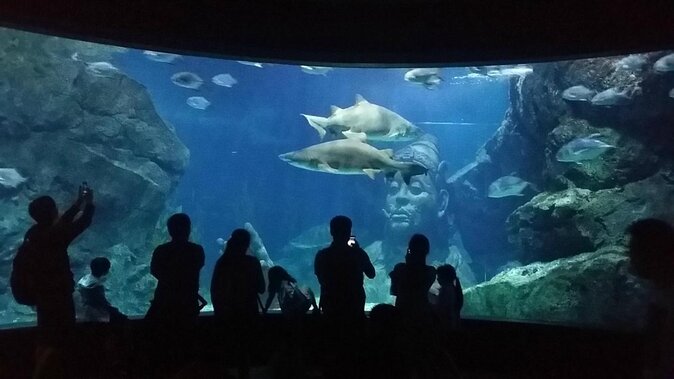 Bangkok Sea Life Aquarium and Madame Tussauds