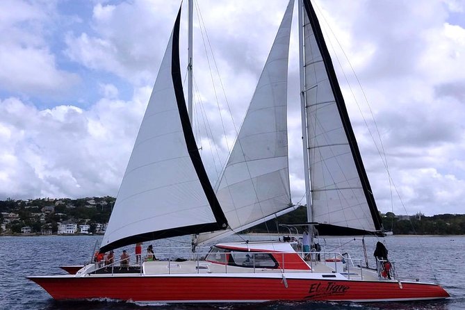 Barbados Catamaran Turtle and Shipwreck Snorkeling Cruise - Customer Service and Other Highlights