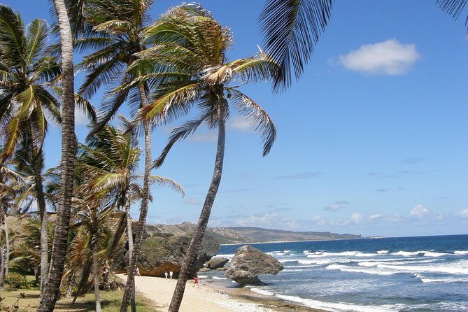 Barbados Highlights Tour With Wildlife Reserve and Lunch - Saint Joseph Parish