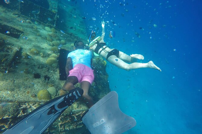 Barbados Island Tour, Monkey Feeding & Swimming With the Turtles - Cancellation Policy