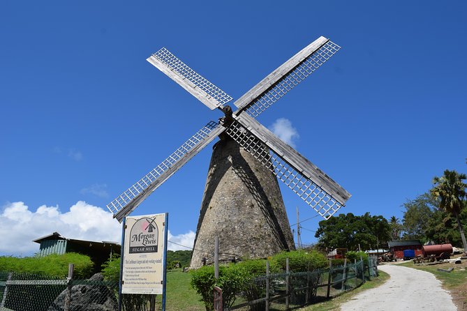 Barbados Shore Excursion Barbados Paradise Sightseeing Tour