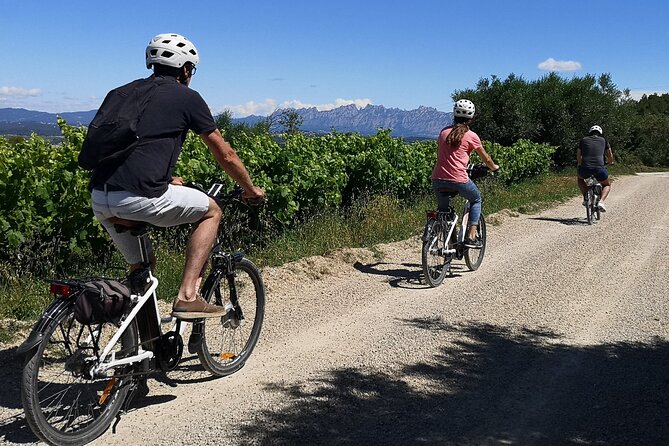 Barcelona: Wine & Ebike Full Day Guided Tour in Penedès - Good To Know