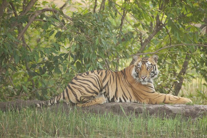 Bardia National Park Package With Tiger Tops Karnali Lodge