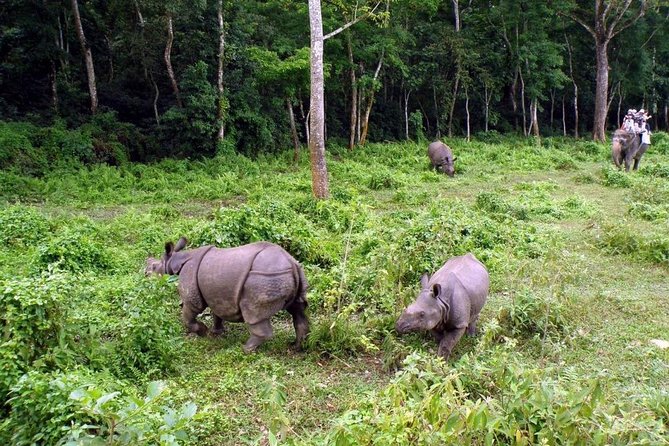 Bardia National Park Tour