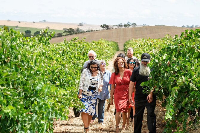 Barossa 4 Hours Wine Experience and Vineyard Walk With Lunch