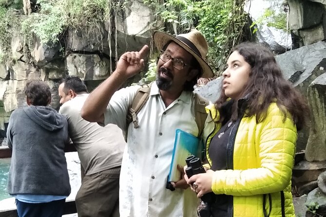 Barranca Del Cupatitzio National Park Private Bird Watching  – Central Mexico