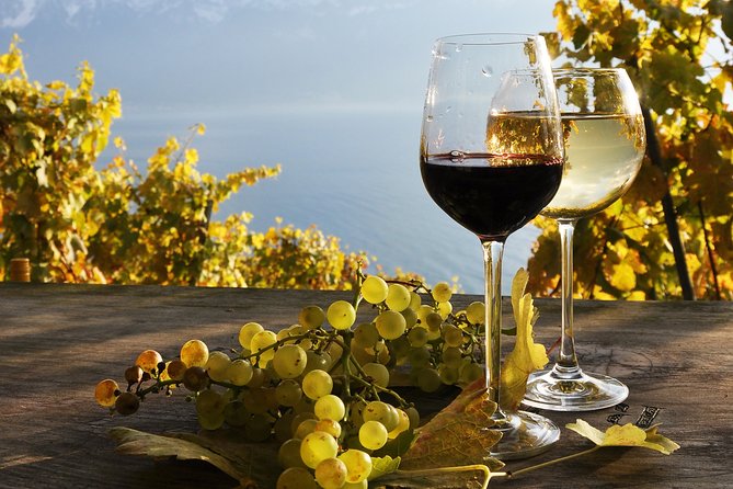 Basel and Alsace Cuisine and Culture Private Tour From Zurich - Good To Know