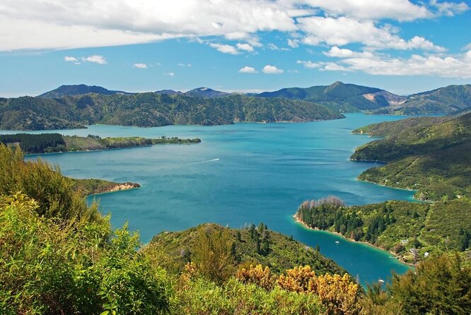Bay of Many Coves Helicopter Tour With 3-Course Lunch From Wellington - Good To Know