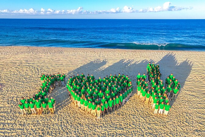 Beach & Desert UTV X3 Tour in Cabo (Price for a 4 Seater Vehicle) - Good To Know