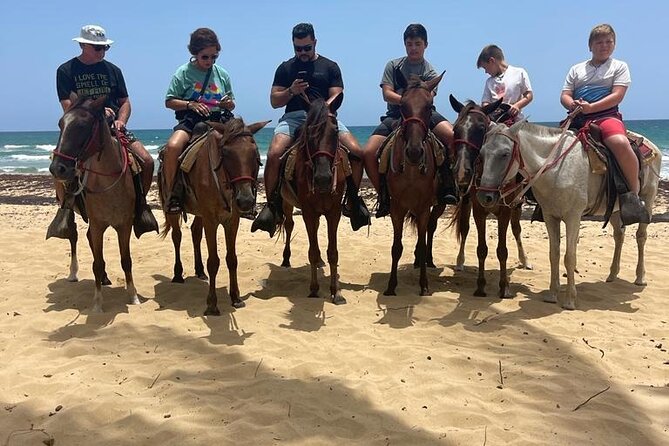 Beach Horseback Ride Tour at Punta Cana - Tour Highlights
