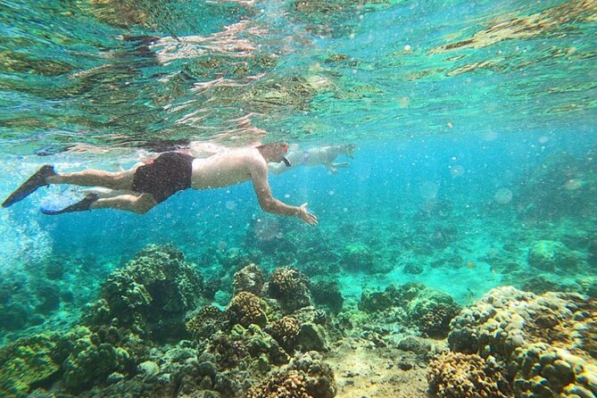 Beach Snorkel – Sea Turtle and Black Sand Lagoon
