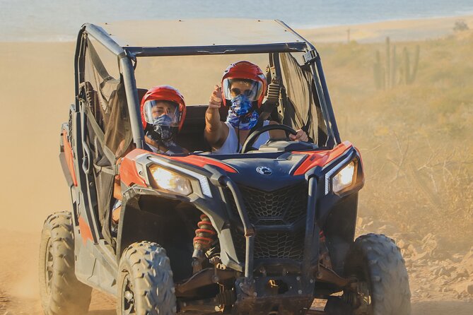 Beach UTV & Horseback Riding COMBO in Cabo by Cactus Tours Park - Good To Know