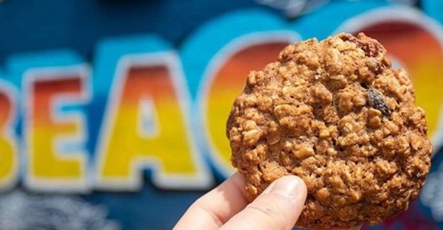 Beacon: Gourmet Beacon Food Tour - Good To Know