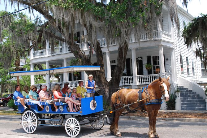 Beaufort Small-Group Historic Horse-Drawn Carriage Tour  - Hilton Head Island - Good To Know