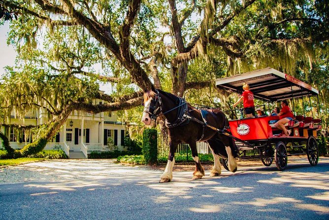Beaufort's #1 Horse & Carriage History Tour - Good To Know