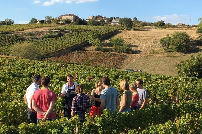 8 Best Full-Day Tours In Lyon