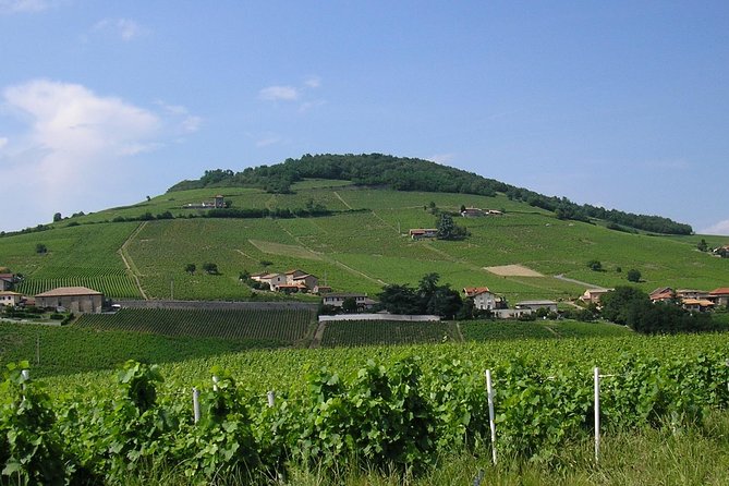 Beaujolais South to North Discovery Private Day Tour With Tastings From Lyon