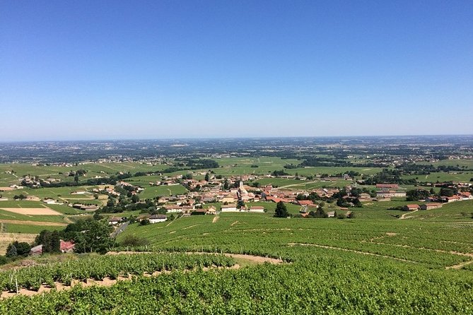 Beaujolais Wines & Castles – Private Tour – Half Day