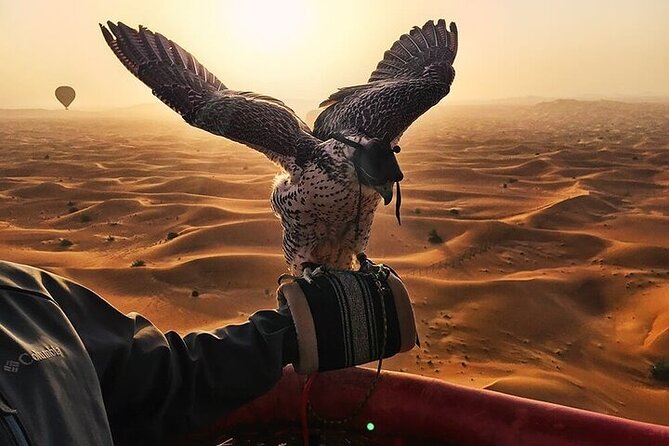 Beautiful Dubai Desert by Balloon & Falcon Show - Good To Know
