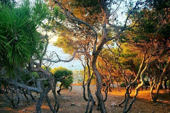 Beautiful Sunset Photo Walk Tour on Paros - Good To Know